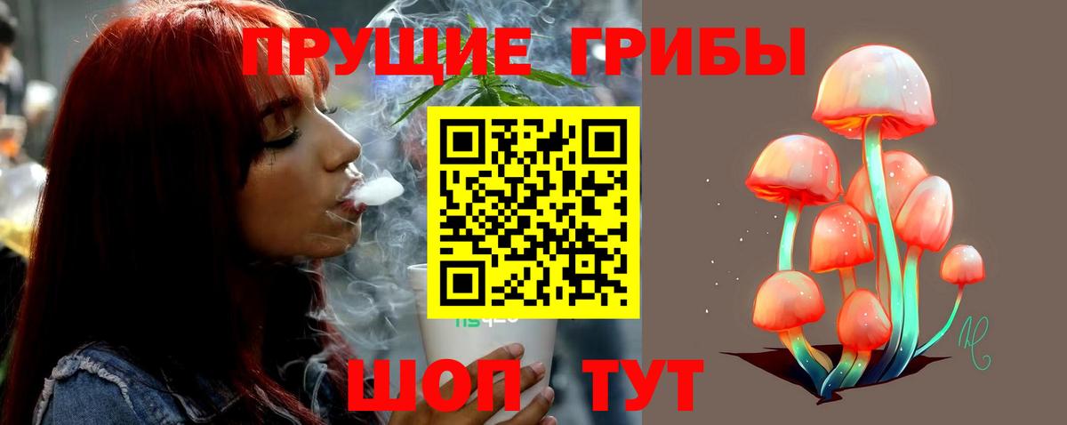 Стрежевой  Псилоцибиновые грибы Cubensis  Вход с VPN 